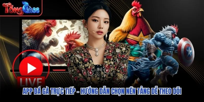 App Đá Gà Trực Tiếp – Hướng Dẫn Chọn Nền Tảng Dễ Theo Dõi