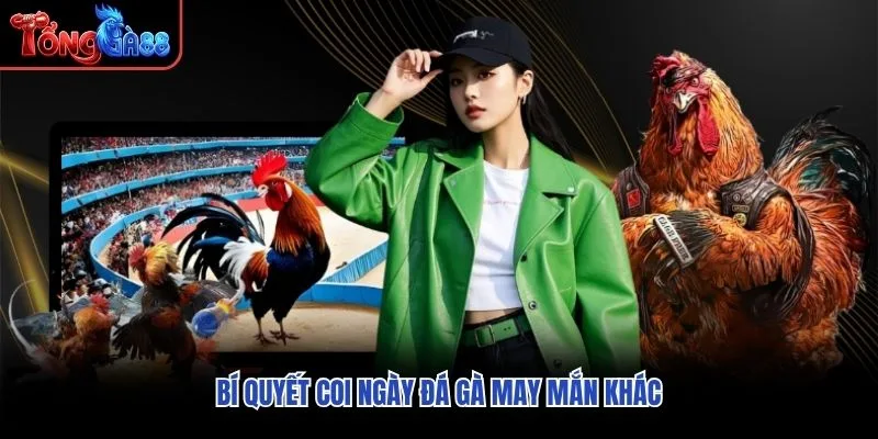 Bí quyết coi ngày đá gà may mắn khác