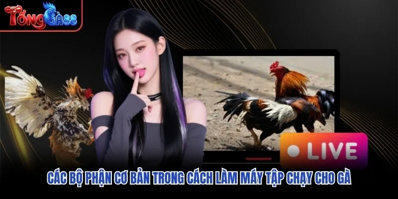 Các bộ phận cơ bản trong cách làm máy tập chạy cho gà