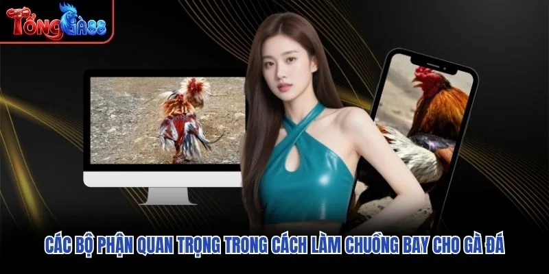 Các bộ phận quan trọng trong cách làm chuồng bay cho gà đá