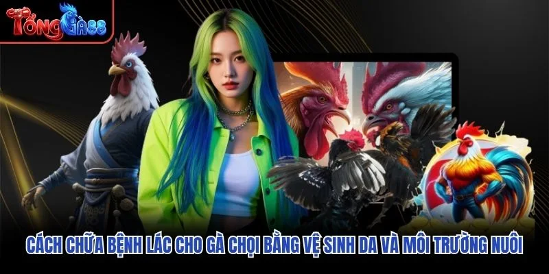 Cách chữa bệnh lác cho gà chọi bằng vệ sinh da và môi trường nuôi Cách chữa bệnh lác cho gà chọi bằng vệ sinh da và môi trường nuôi