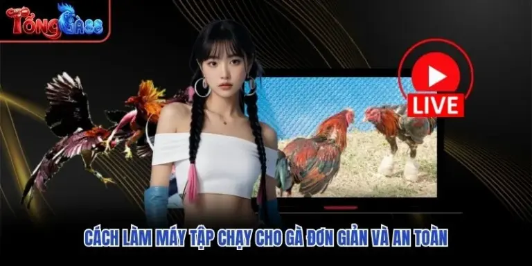 Cách Làm Máy Tập Chạy Cho Gà Đơn Giản Và An Toàn