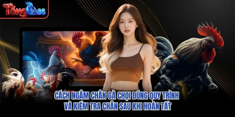 Cách ngâm chân gà chọi đúng quy trình và kiểm tra chân sau khi hoàn tất Cách ngâm chân gà chọi đúng quy trình và kiểm tra chân sau khi hoàn tất