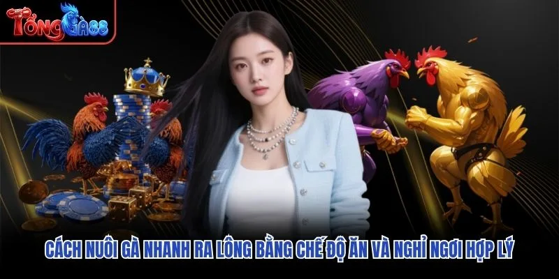 Cách nuôi gà nhanh ra lông bằng chế độ ăn và nghỉ ngơi hợp lý Cách nuôi gà nhanh ra lông bằng chế độ ăn và nghỉ ngơi hợp lý