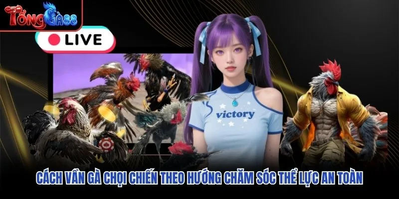 Cách vần gà chọi chiến theo hướng chăm sóc thể lực an toàn Cách vần gà chọi chiến theo hướng chăm sóc thể lực an toàn