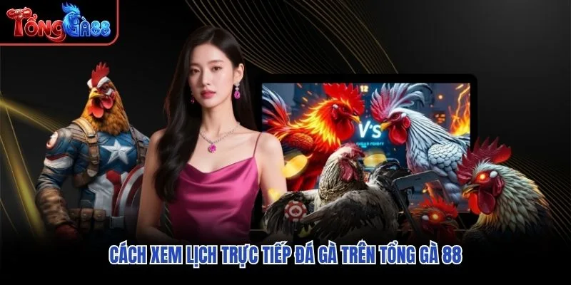 Cách xem lịch trực tiếp đá gà trên Tổng Gà 88 Cách xem lịch trực tiếp đá gà trên Tổng Gà 88