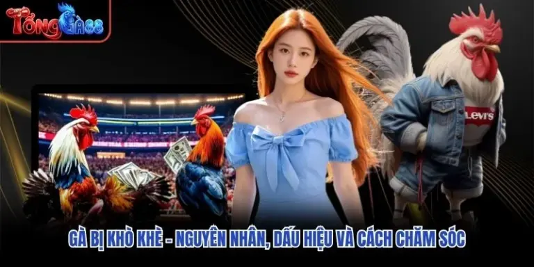 Gà Bị Khò Khè – Nguyên Nhân, Dấu Hiệu Và Cách Chăm Sóc