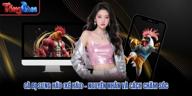 Gà Bị Sưng Hầu (Ké Hầu) – Nguyên Nhân Và Cách Chăm Sóc