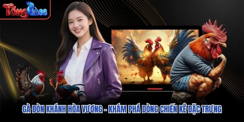 Gà Đòn Khánh Hòa Vương – Khám Phá Dòng Chiến Kê Đặc Trưng