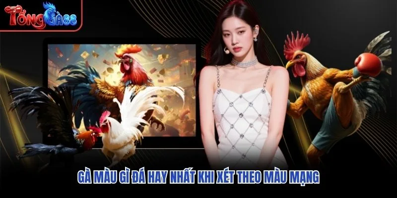 Gà màu gì đá hay nhất khi xét theo màu mạng Gà màu gì đá hay nhất khi xét theo màu mạng