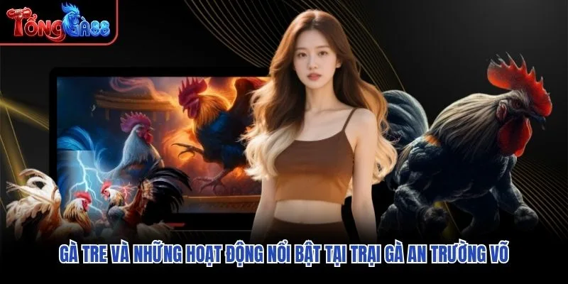 Gà tre và những hoạt động nổi bật tại trại gà An Trường Võ
