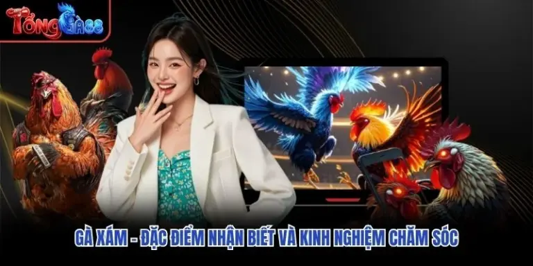 Gà Xám – Đặc Điểm Nhận Biết Và Kinh Nghiệm Chăm Sóc