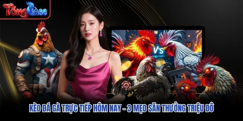 Kèo Đá Gà Trực Tiếp Hôm Nay - 3 Mẹo Săn Thưởng Triệu Đô