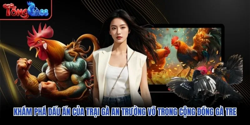 Khám phá dấu ấn của trại gà An Trường Võ trong cộng đồng gà tre
