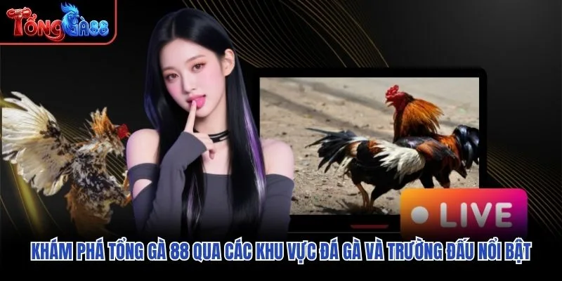 Khám phá Tổng Gà 88 qua các khu vực đá gà và trường đấu nổi bật