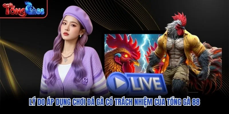 Lý do áp dụng chơi đá gà có trách nhiệm của Tổng Gà 88 Lý do áp dụng chơi đá gà có trách nhiệm của Tổng Gà 88