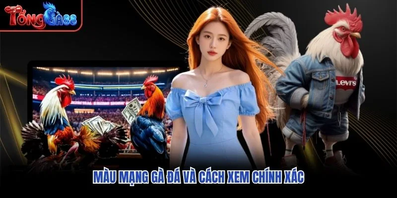 Màu mạng gà đá và cách xem chính xác Màu mạng gà đá và cách xem chính xác