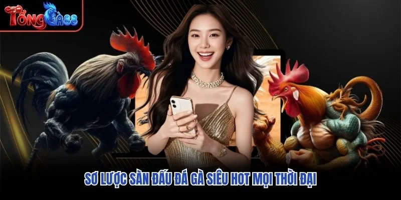 Sơ lược sàn đấu đá gà siêu hot mọi thời đại