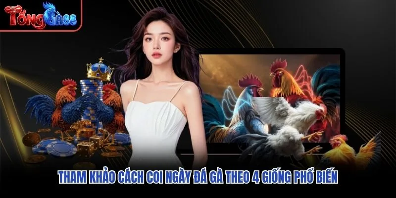 Tham khảo cách coi ngày đá gà theo 4 giống phổ biến