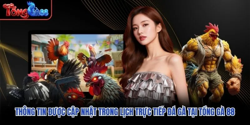 Thông tin được cập nhật trong lịch trực tiếp đá gà tại Tổng Gà 88 Thông tin được cập nhật trong lịch trực tiếp đá gà tại Tổng Gà 88