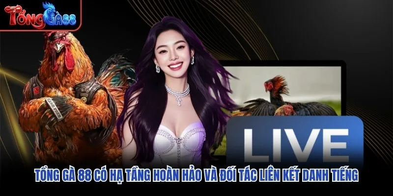 Tổng Gà 88 có hạ tầng hoàn hảo và đối tác liên kết danh tiếng Tổng Gà 88 có hạ tầng hoàn hảo và đối tác liên kết danh tiếng