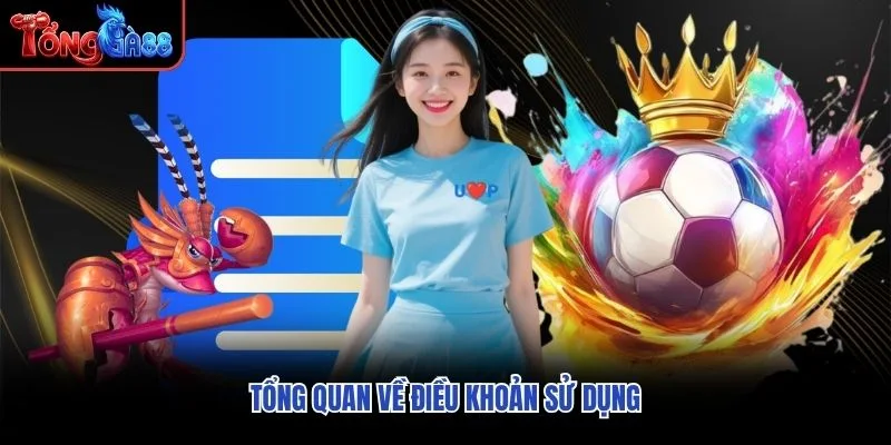 Tổng quan về điều khoản sử dụng