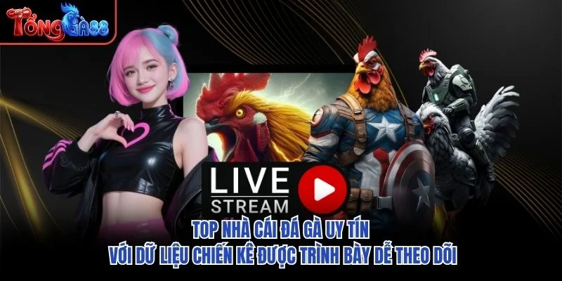 Top nhà cái đá gà uy tín với dữ liệu chiến kê được trình bày dễ theo dõi Top nhà cái đá gà uy tín với dữ liệu chiến kê được trình bày dễ theo dõi