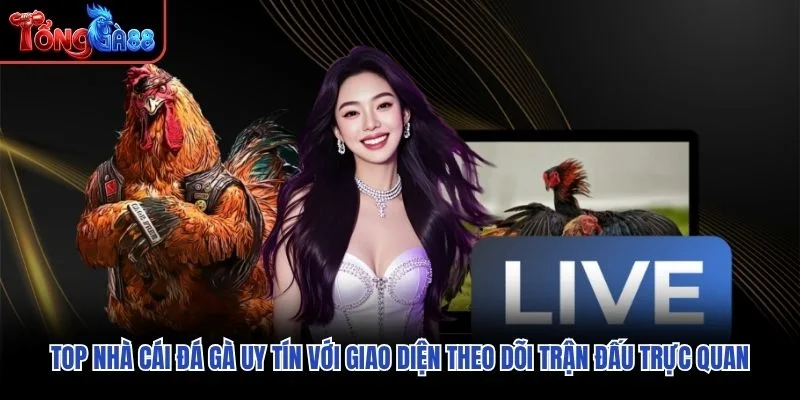 Top nhà cái đá gà uy tín với giao diện theo dõi trận đấu trực quan Top nhà cái đá gà uy tín với giao diện theo dõi trận đấu trực quan