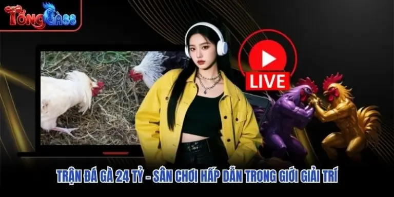 Trận Đá Gà 24 Tỷ - Sân Chơi Hấp Dẫn Trong Giới Giải Trí