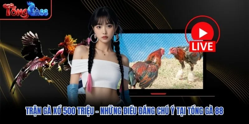 Trận Gà Xổ 500 Triệu – Những Điều Đáng Chú Ý Tại Tổng Gà 88